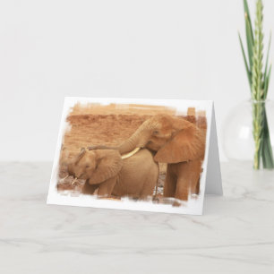 Badande Baby Elephant Greeting Card Kort