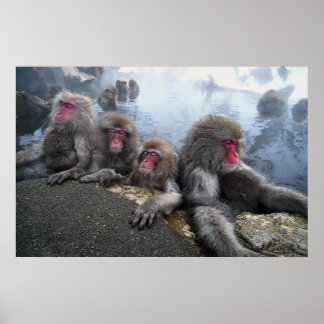 Badapor Poster