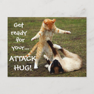 Badass Cats - Attack Hug Vykort