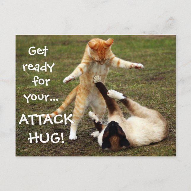 Badass Cats - Attack Hug Vykort (Framsida)