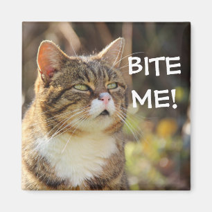 Badass Cats - "BITA MIG!" Magnet