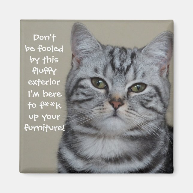 Badass Cats Magnet (Framsidan)