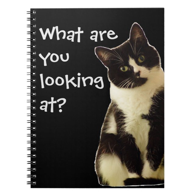 Badass Cats, vad tittar du på? " Anteckningsbok (Framsidan)