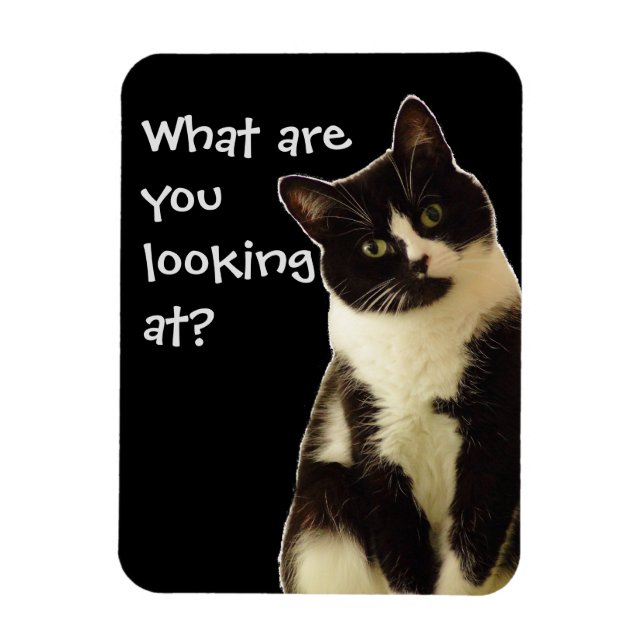 Badass Cats "Vad tittar du på?" Magnet (Vertikal)