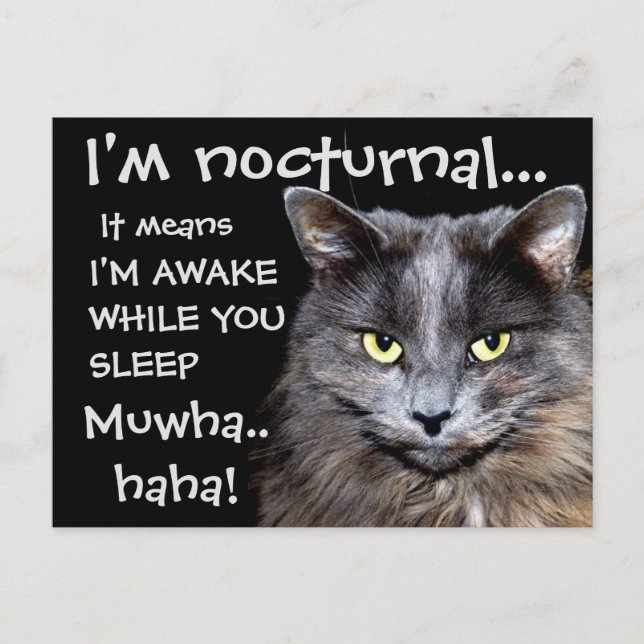 Badass Cats Vykort (Framsida)