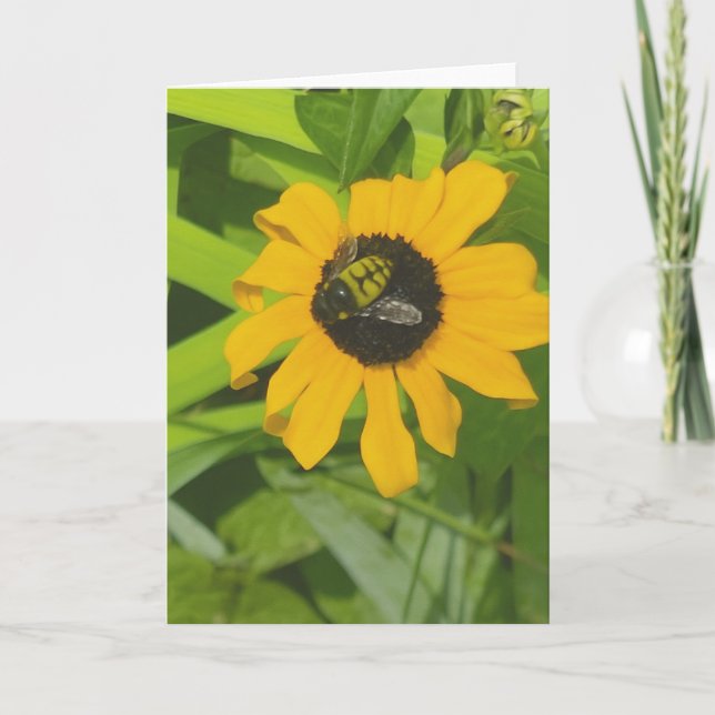 Bädda tillbaka i ett Blankt foto-gratulationskort Kort (Framsida)