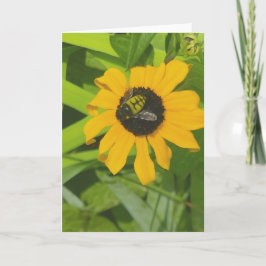 Bädda tillbaka i ett Blankt foto-gratulationskort Kort