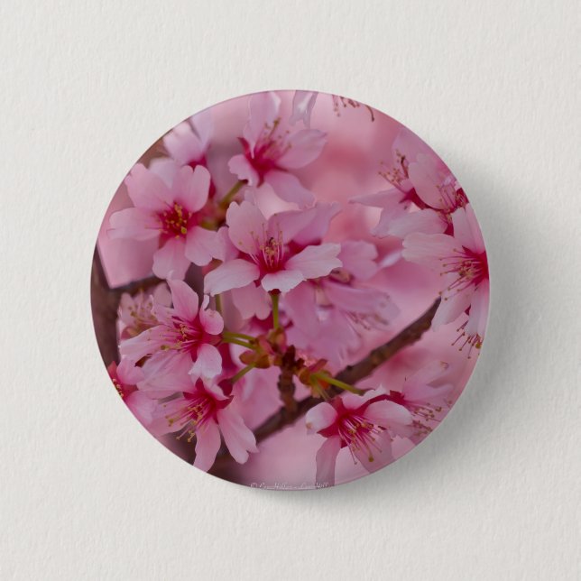 Baddad i rosa japanska körsbärsblommor knapp (Framsida)