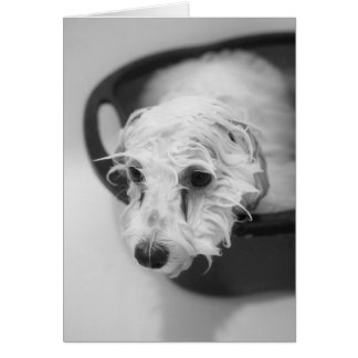 Baddag Hälsningskort