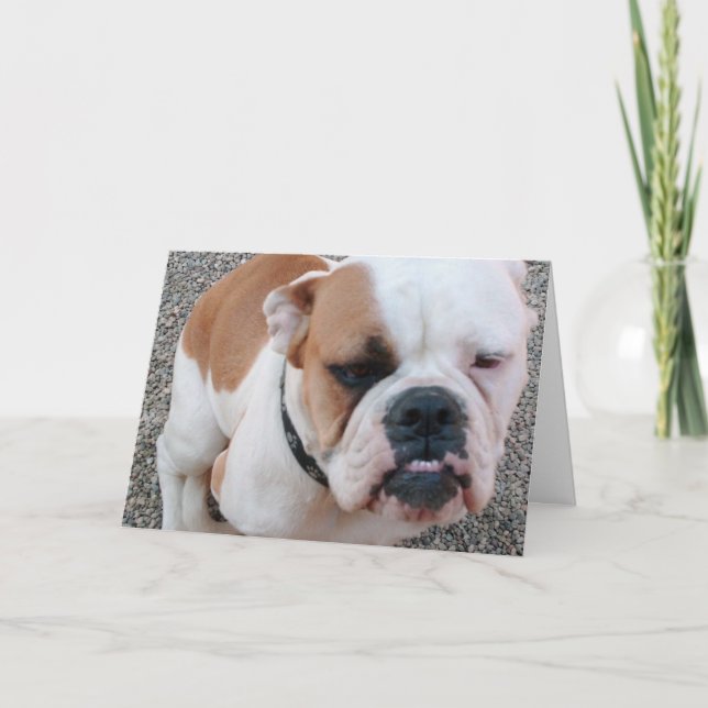 Badday! Kort (Framsida)