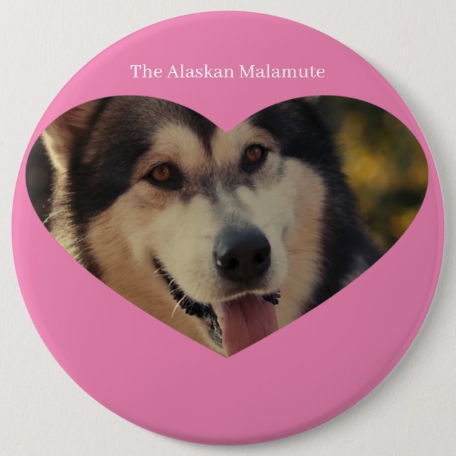 Badge Knapp (Framsida)