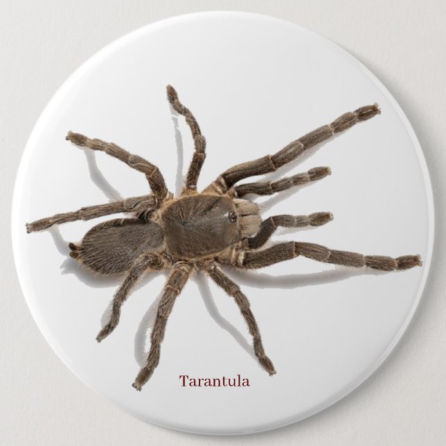 Badge Knapp (Framsida)
