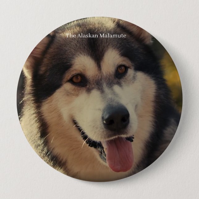 Badge Knapp (Framsida)