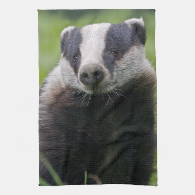 Badger Kitchen Towel Kökshandduk (Vertikal)