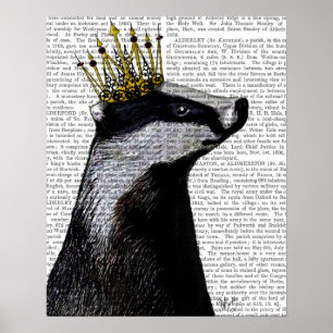Badger Kung Poster
