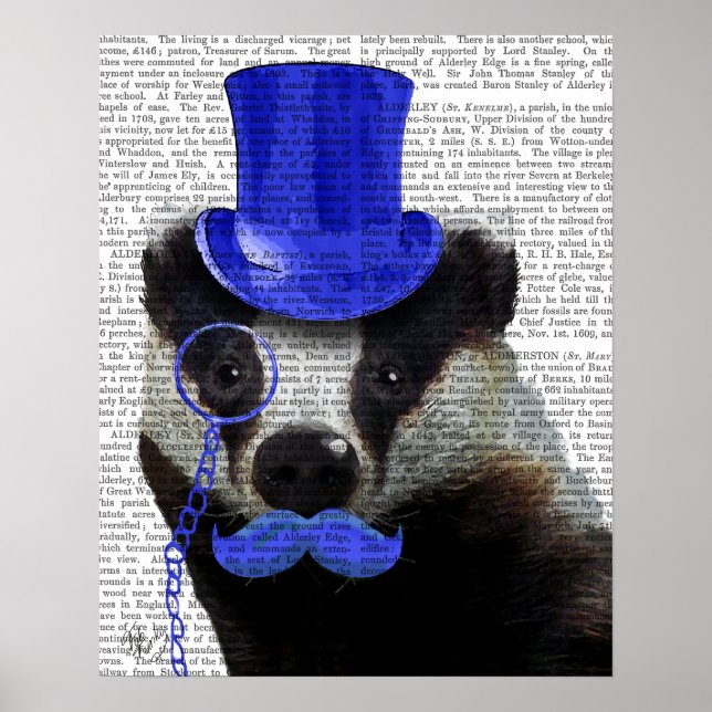 Badger med Blue Top hat och Mustache Poster (Framsidan)