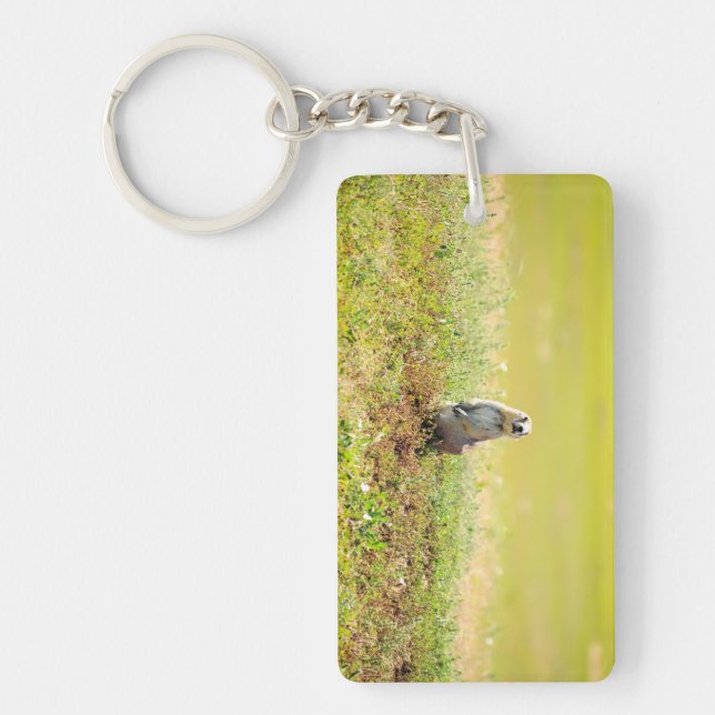 Badlands av North Dakota Keychain (Framsidan)