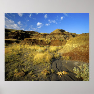 Badlands i Dinosaur Provincial Park i Alberta. Poster