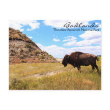Badlands of North Dakota Postcard