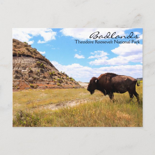 Badlands of North Dakota Postcard Vykort (Framsida)