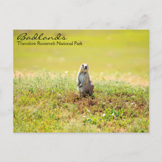 Badlands of North Dakota Postcard Vykort