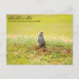 Badlands of North Dakota Postcard Vykort