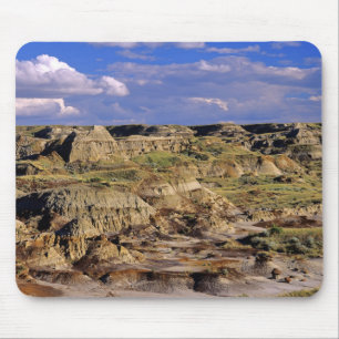 Badlands vid Dinosaur Provincial Park i Alberta, 2 Musmatta