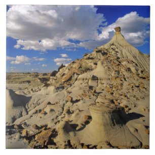 Badlands vid Dinosaur Provincial Park i Alberta, 3 Kakelplatta