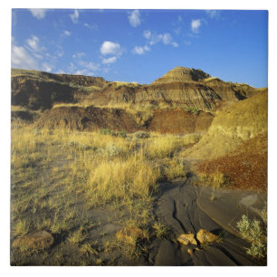 Badlands vid Dinosaur Provincial Park i Alberta, Kakelplatta
