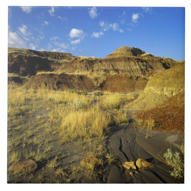 Badlands vid Dinosaur Provincial Park i Alberta, Kakelplatta (Framsidan)
