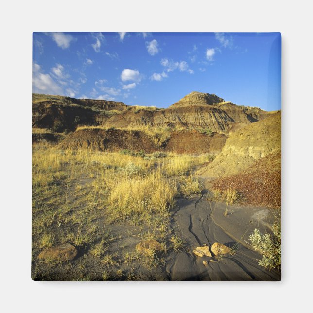 Badlands vid Dinosaur Provincial Park i Alberta, Magnet (Framsidan)