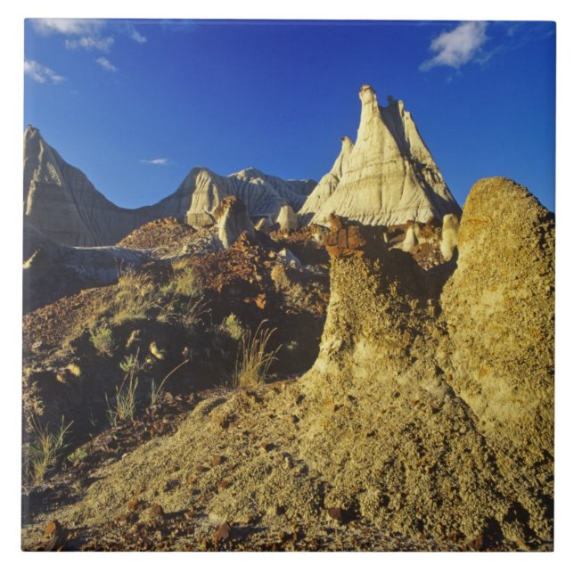 Badlandsformationer vid Dinosaur Provincial Park 2 Kakelplatta (Framsidan)