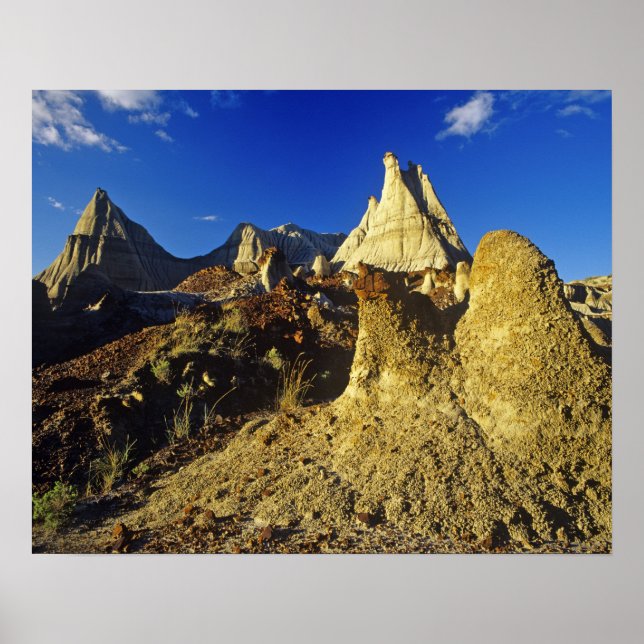 Badlandsformationer vid Dinosaur Provincial Park 2 Poster (Framsidan)