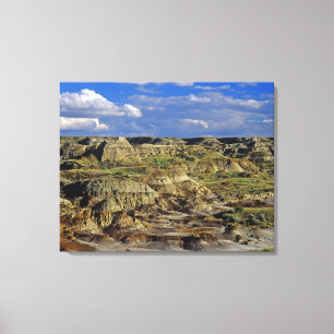 Badlandsformationer vid Dinosaur Provincial Park 4 Canvastryck