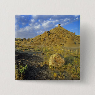 Badlandsformationer vid Dinosaur Provincial Park Knapp