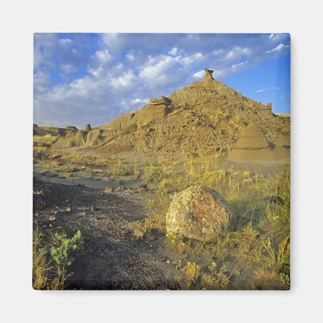 Badlandsformationer vid Dinosaur Provincial Park Magnet (Framsidan)
