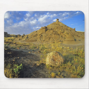 Badlandsformationer vid Dinosaur Provincial Park Musmatta