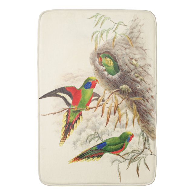 Badmatta för djur för djurliv för Lorikeet Badrumsmatta (Framsidan (Vertikal))