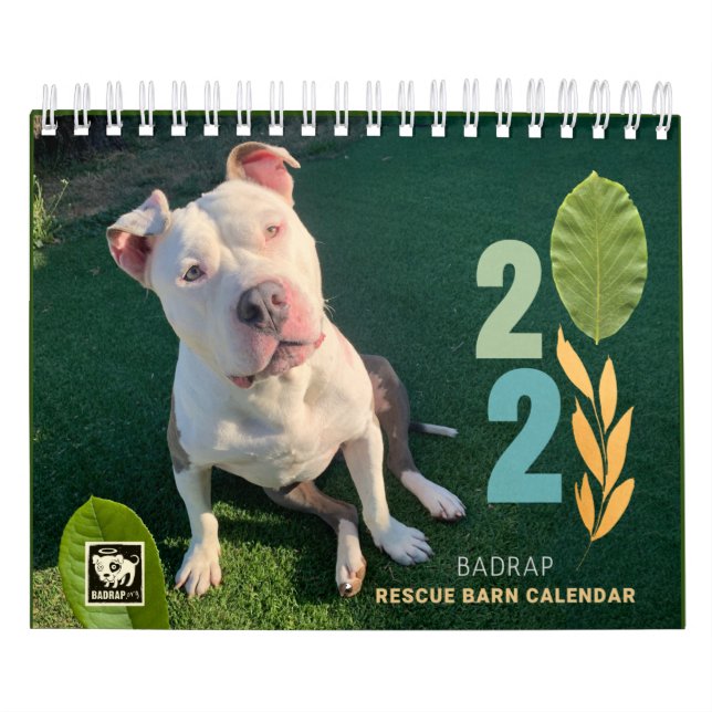 BADRAP Rädding Barn 2021 Kalender (Omslag)