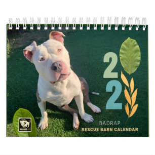 BADRAP Rädding Barn 2021 Kalender