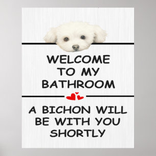 Badrums Bichon Frise Poster