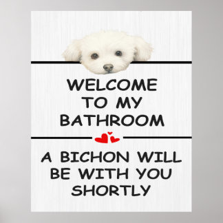 Badrums Bichon Frise Poster