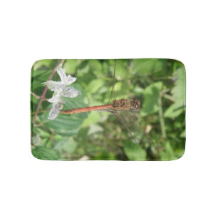 Badrumsmattor med Sympetrum striolatum