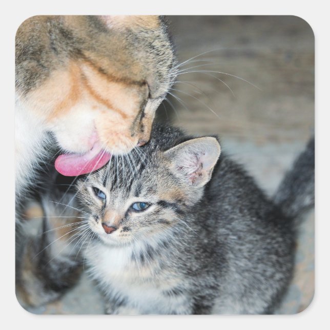 Badtid Fyrkantigt Klistermärke (Framsida)