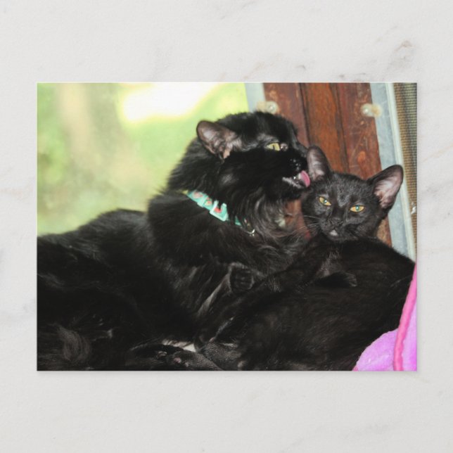 Badtid Helg Vykort (Framsida)