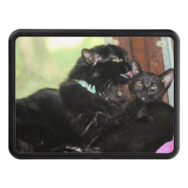 Badtid l dragkroksskydd