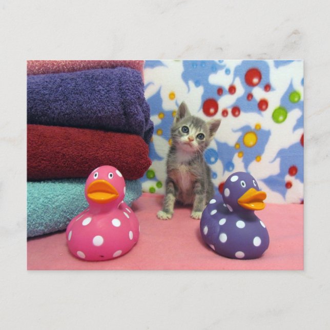 Badtid med Aidan - vykort för katt (Framsida)