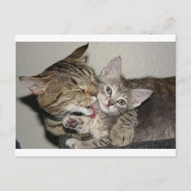 Badtid Vykort (Framsida)