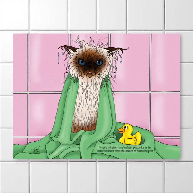 Badtidskatt Poster (Skapare uppladdad)