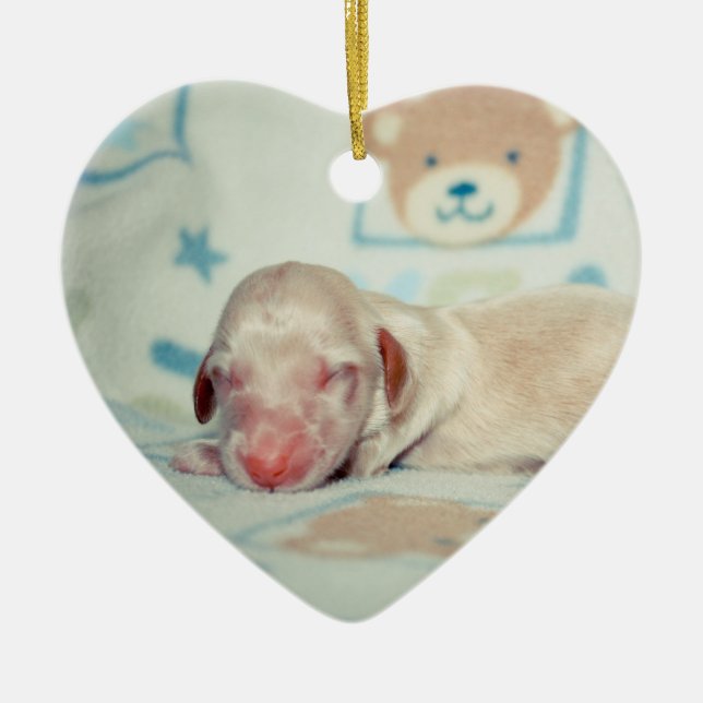 Bae Nyfödd-Lovebugdoxies valpminnessak Julgransprydnad Keramik (Framsidan)